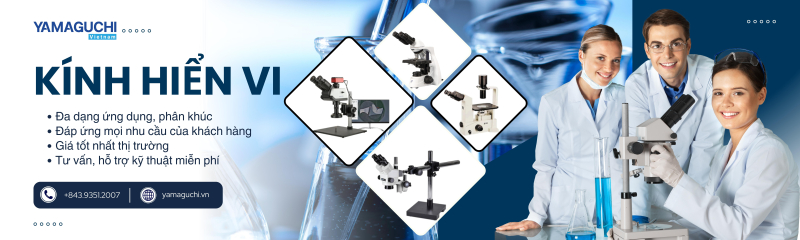 banner kinh hien vi yamaguchi